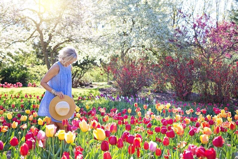 Planter des fleurs de saison pour un jardin coloré